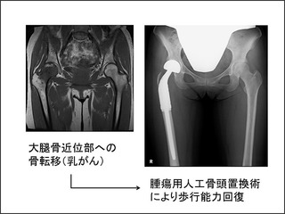 image/_photos_uncategorized_2014_02_01_8.jpg